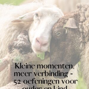Voorkant e-book