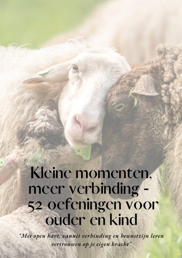 Voorkant e-book