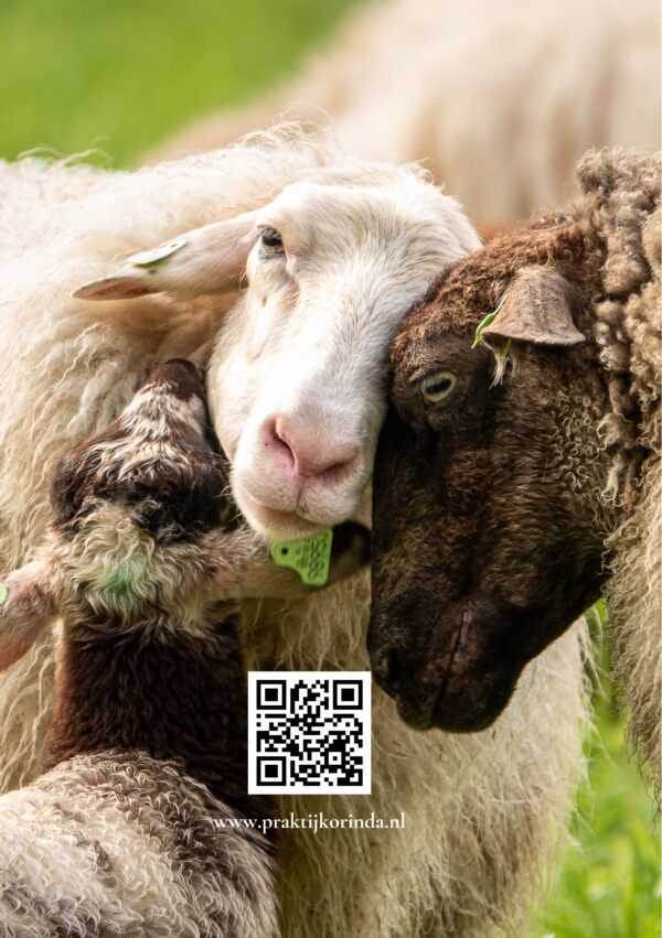 E-book Kleine momenten, meer verbinding - 52 oefeningen voor ouder en kind - Afbeelding 14