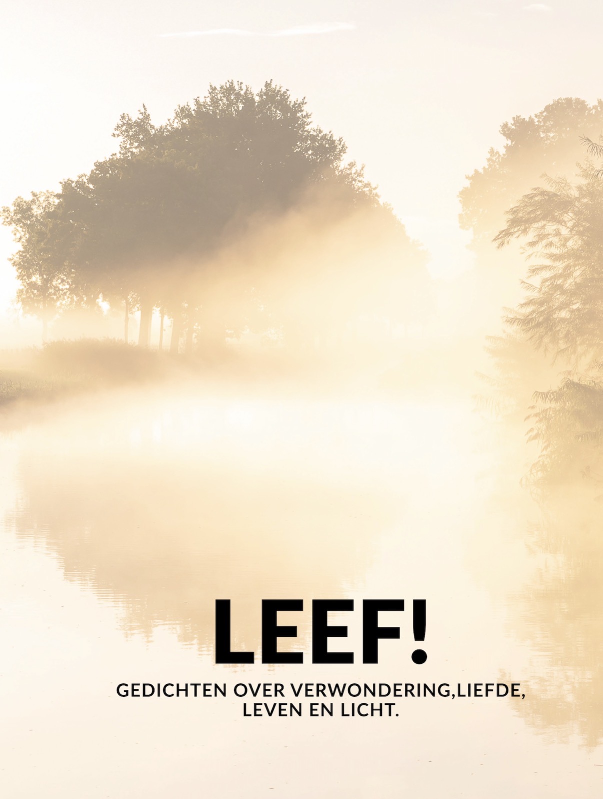 Gedichtenbundel LEEF! - Afbeelding 2