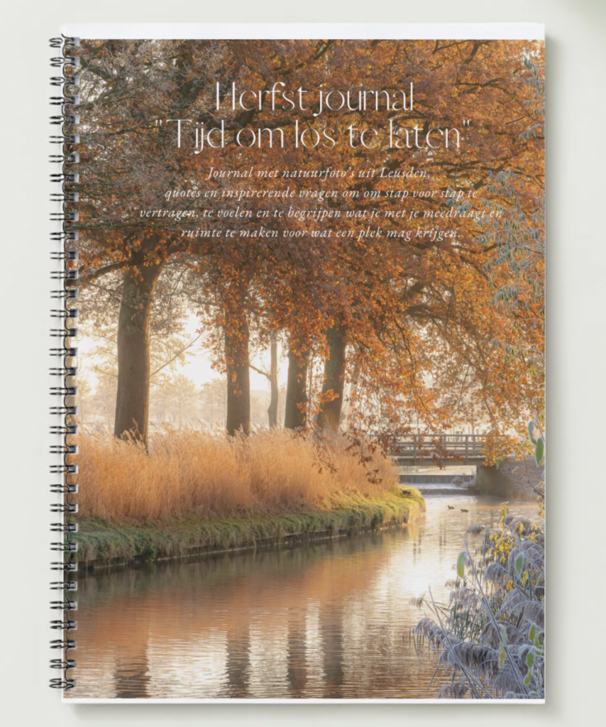 E-book Herfstjournal ; Tijd om los te laten